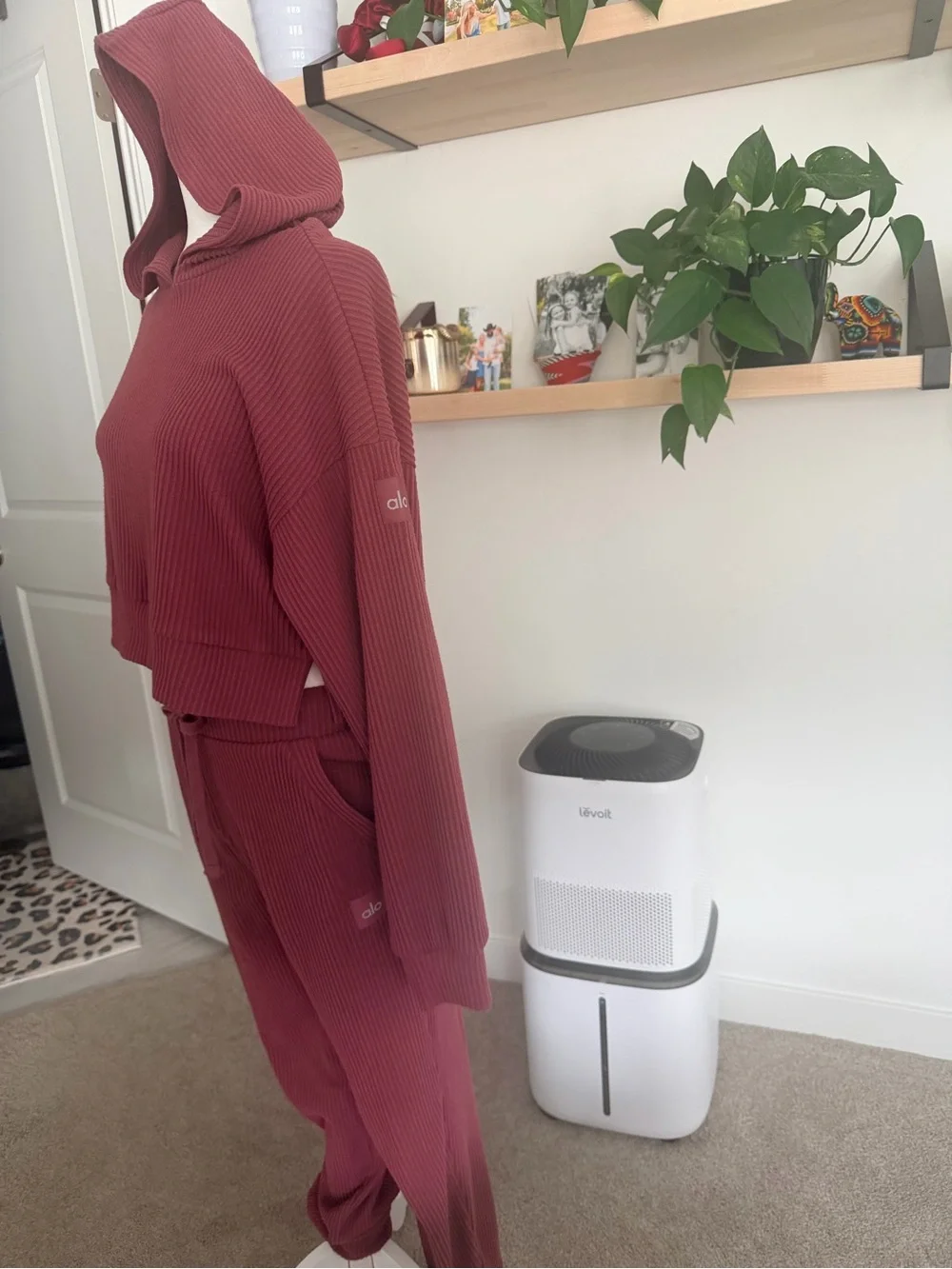SET!! Alo Yoga Muse Ribbed Hoodie & Pants Set in Mauve